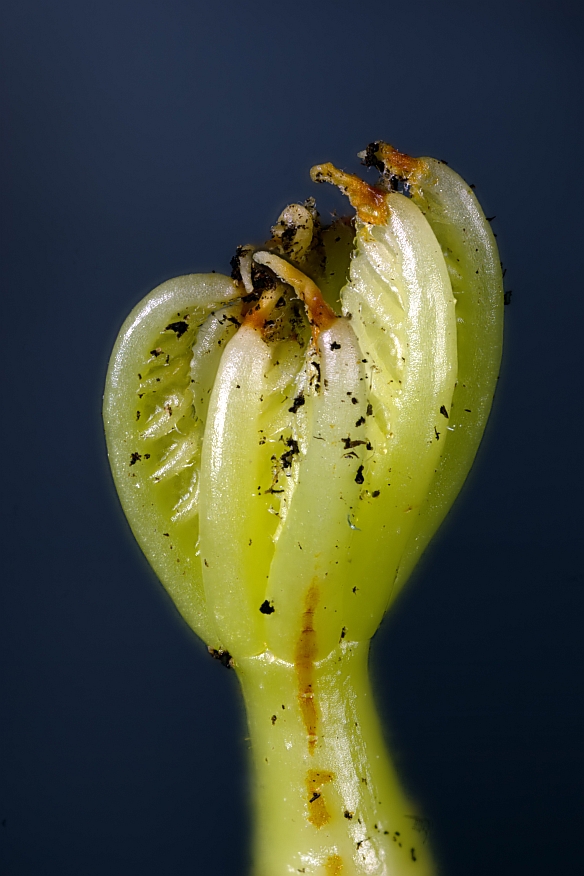 11-02-14_212604_M_A_R_6_S_4