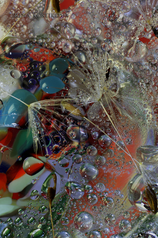 10_05_10_171_800_533