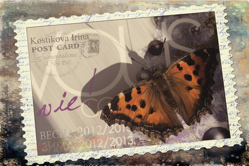 -_8_04_13_IMG_1983_850_567_