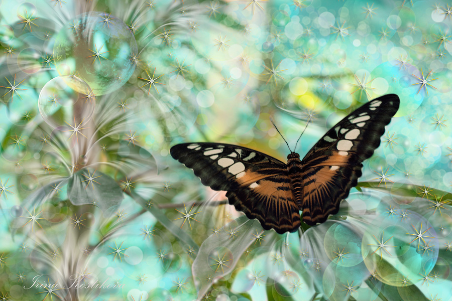 27_05_11_-IMG_5996-10_15