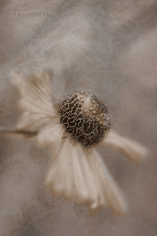 7_10_08_124_800_533_