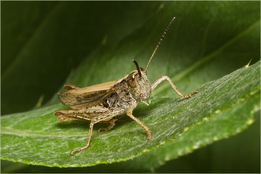 2011_06_30_IMG_2143_