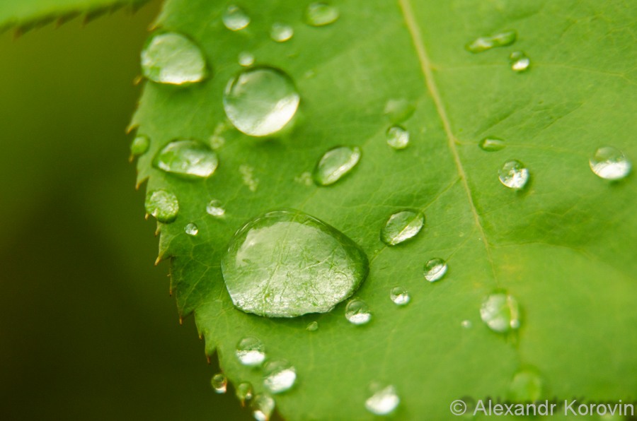 0_64755_37e8bce9_XXL