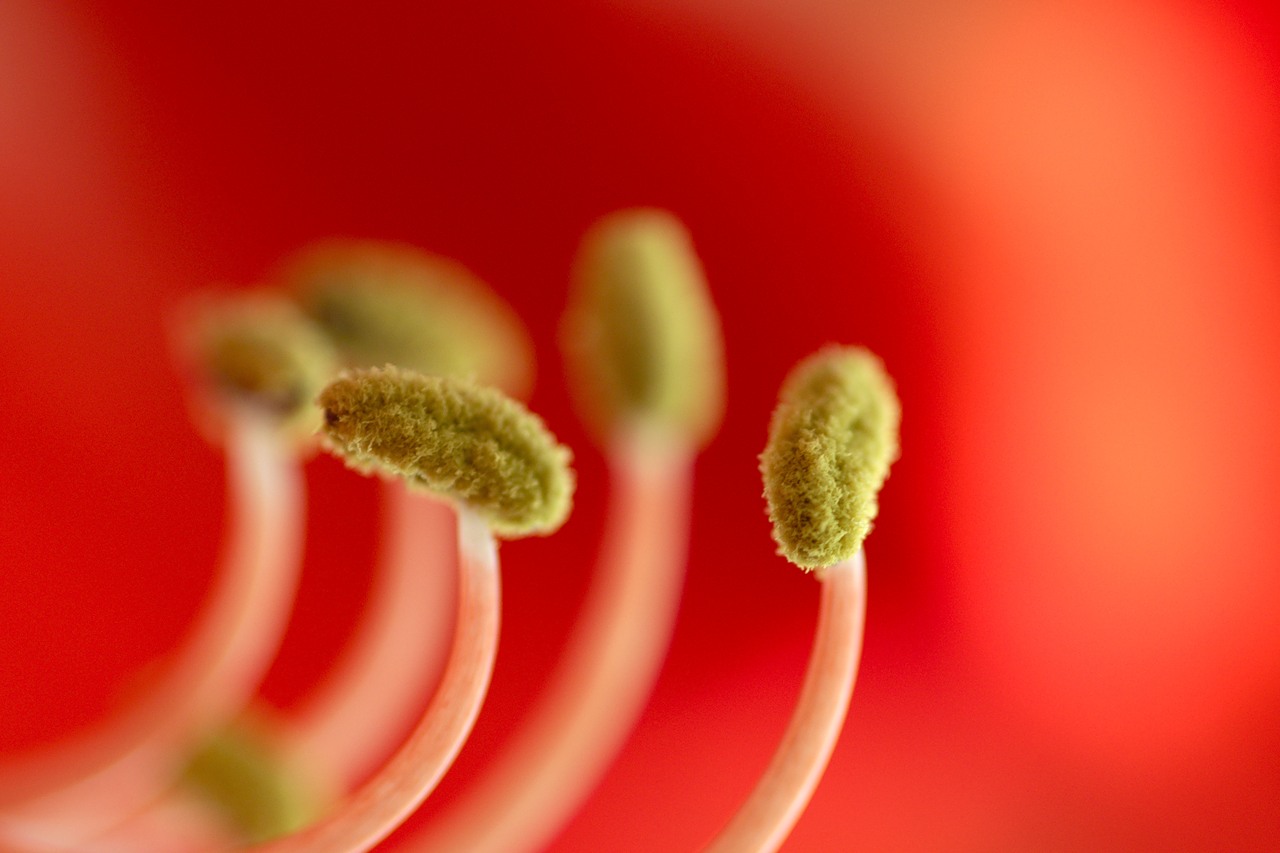 0_58e65_336a44a5_XXXL