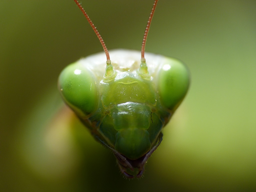 0_6545b_f16c38c6_-1-XXL1