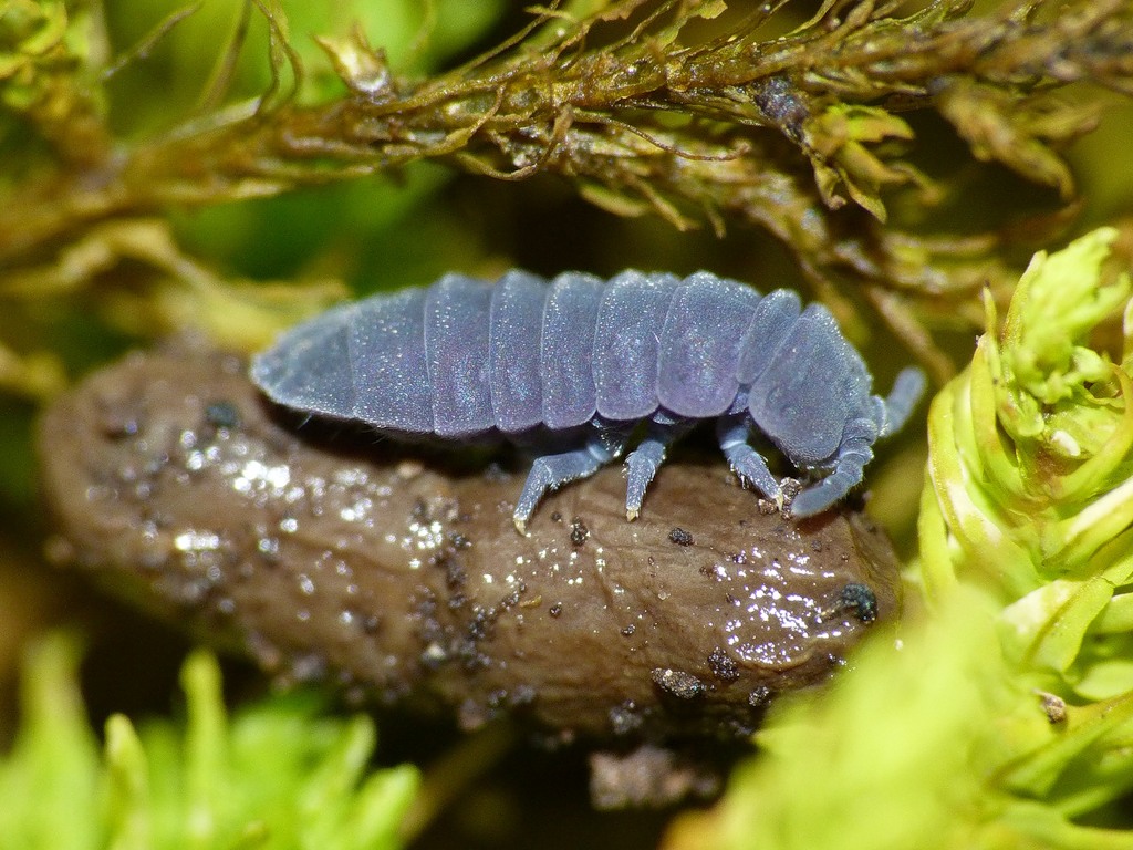 0_676d7_dbde390c_-1-XXL