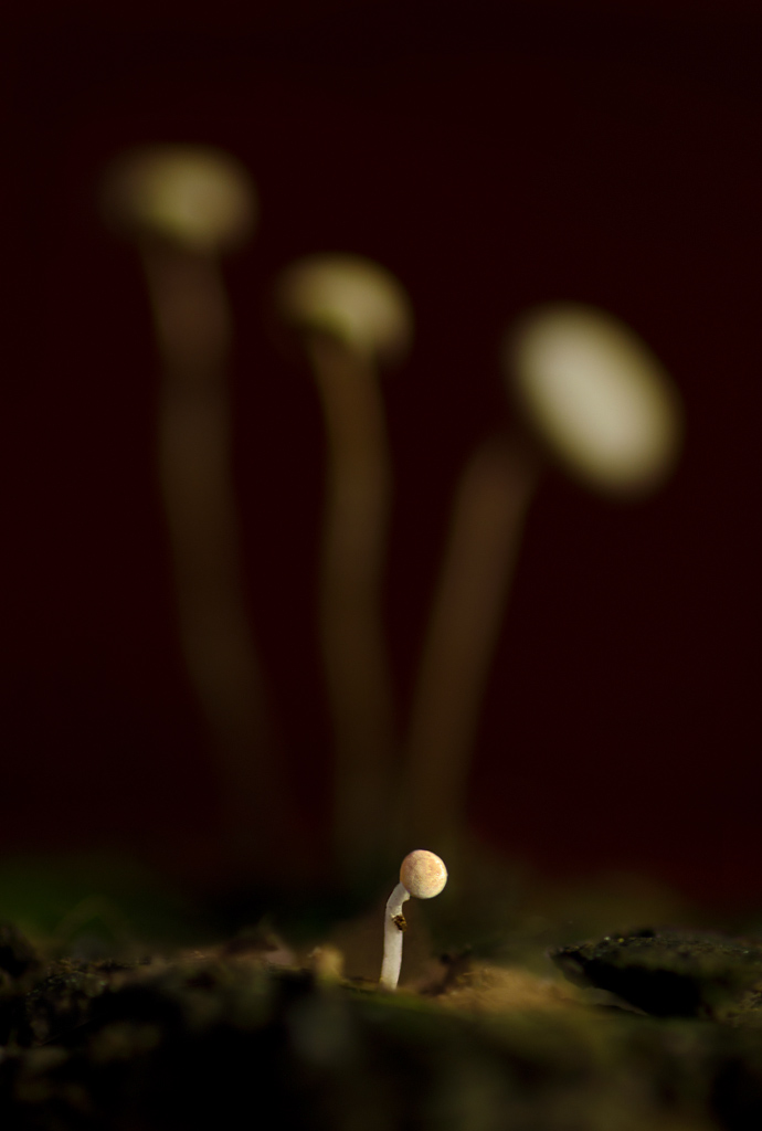 Ya-toze-skoro-virastu-2