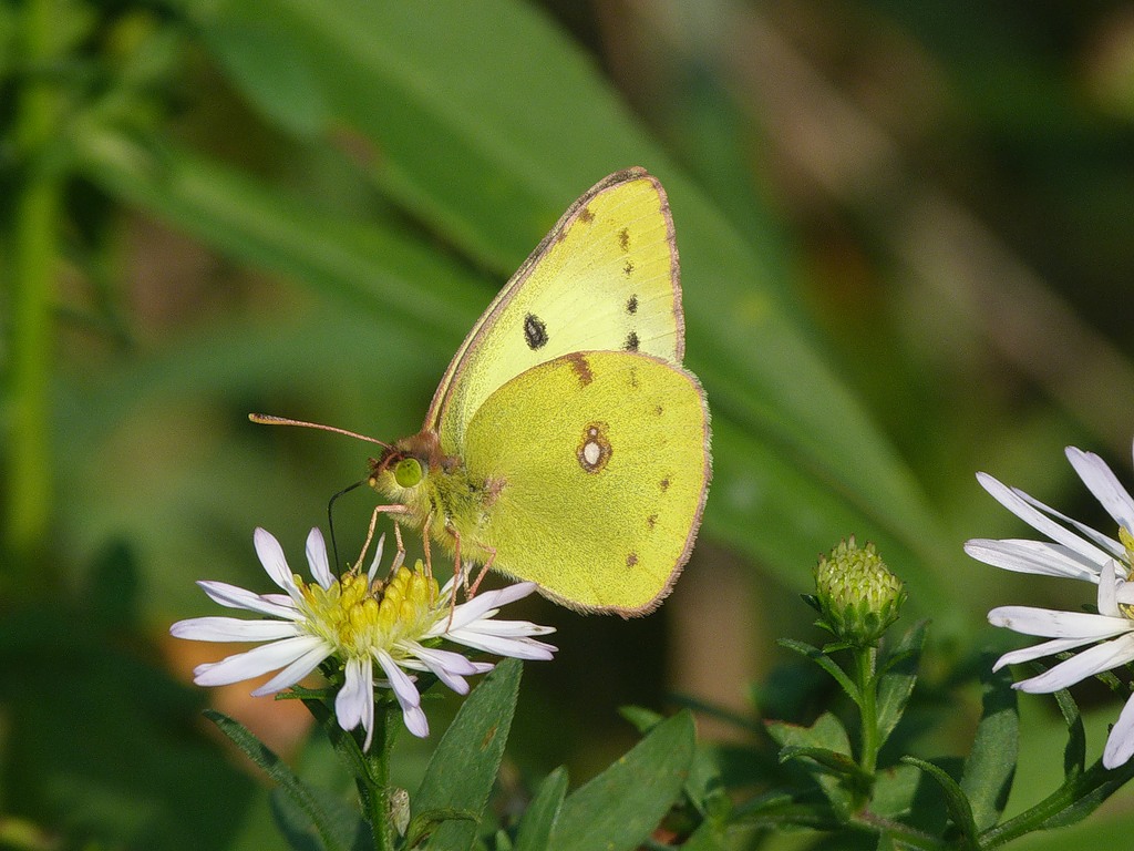 0_64bed_e84ee143_XXL