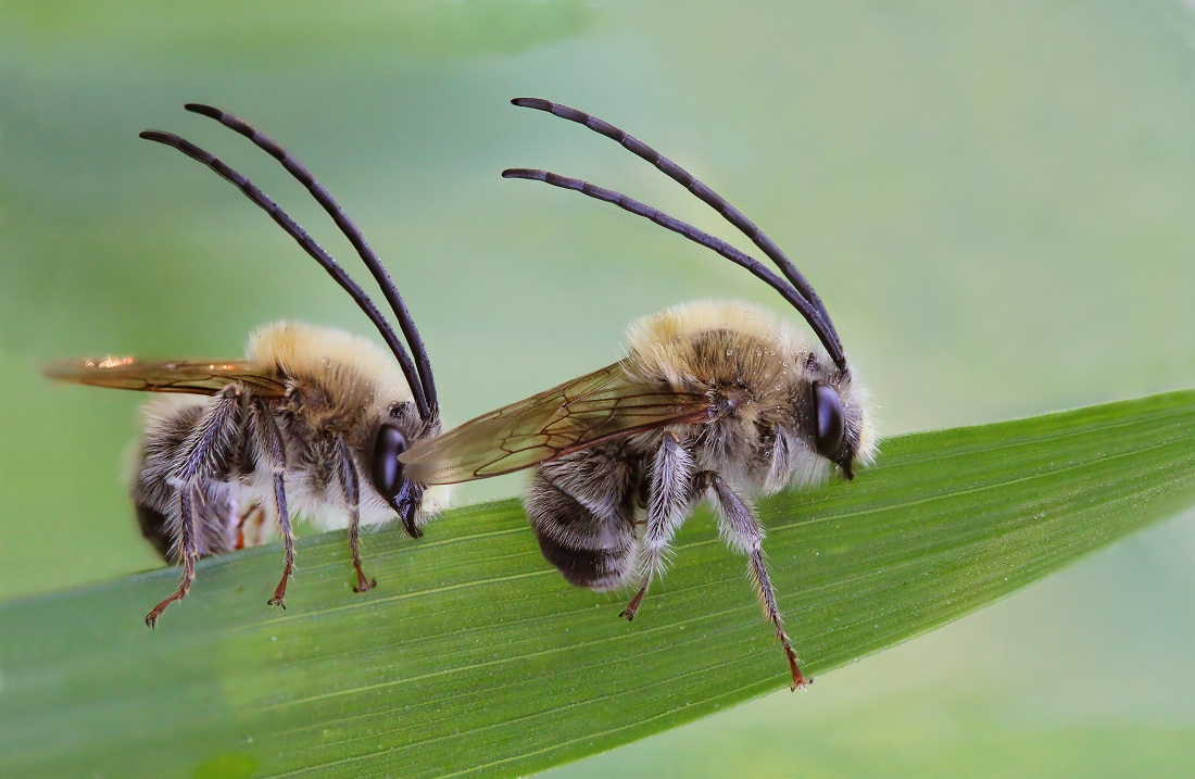 12-05-06_085127_M_B_R_8_S_4_-_2_