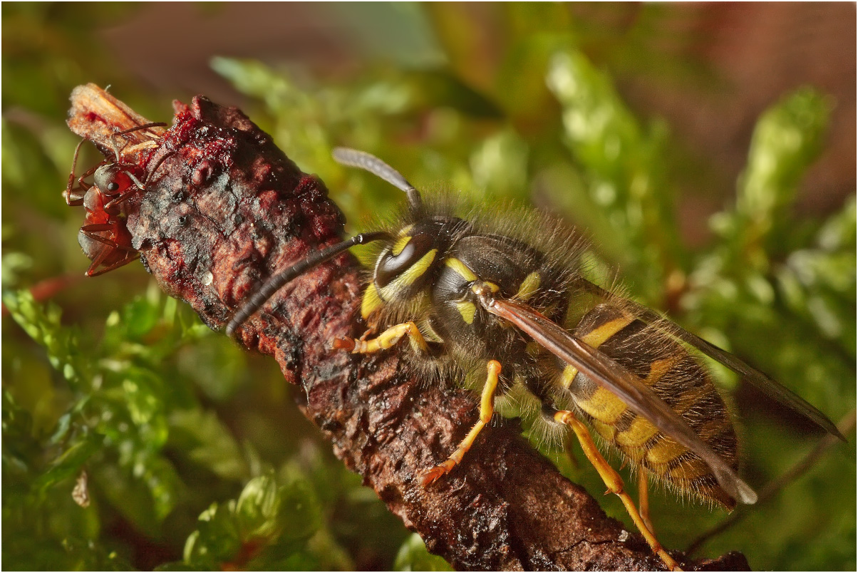 IMG_12-09-10_1869_11