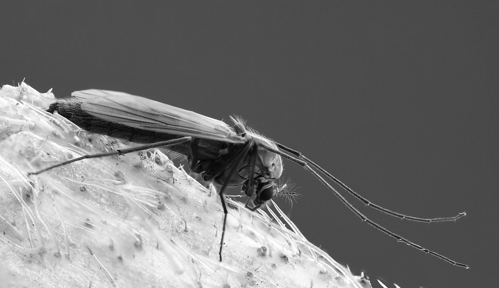 12-08-14_192833_M_B_R_8_S_4