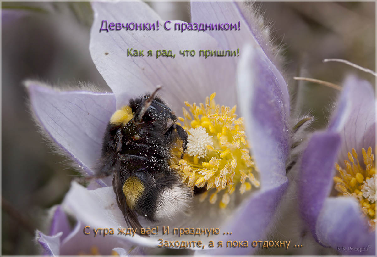 IMG_3845-46_stak_r_1