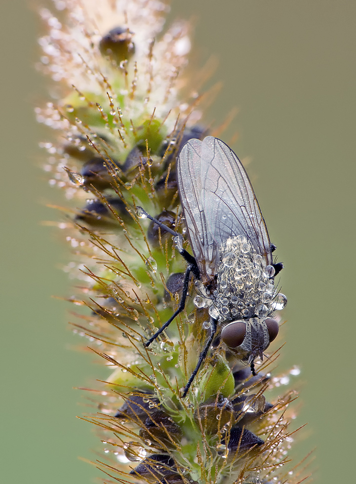 13-08-25_141251_M_C_small