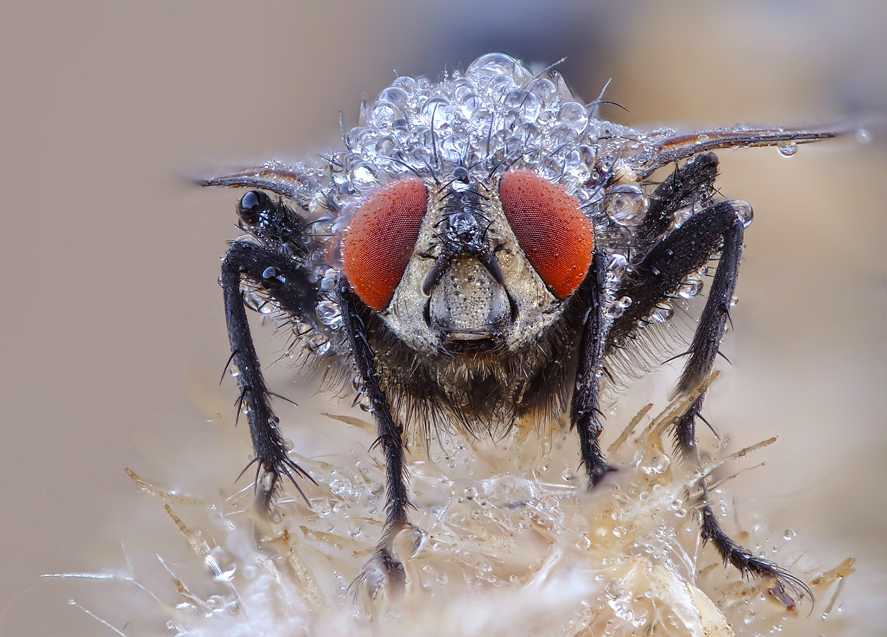 2013-08-24-18_01crx_Ex