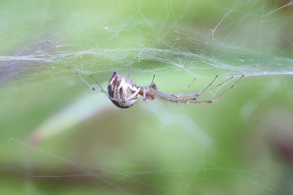 2013-09-01-17_05_39_ZS_PMax