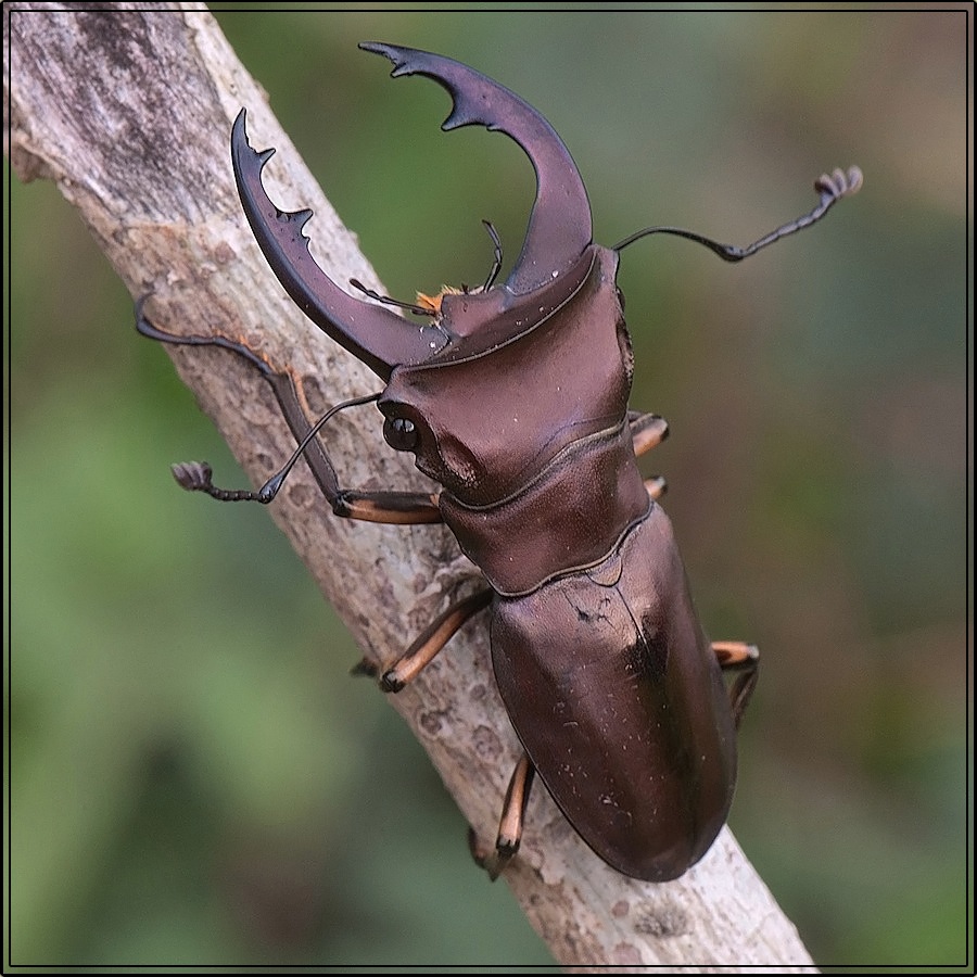 DSC_2026_edited-1_1_