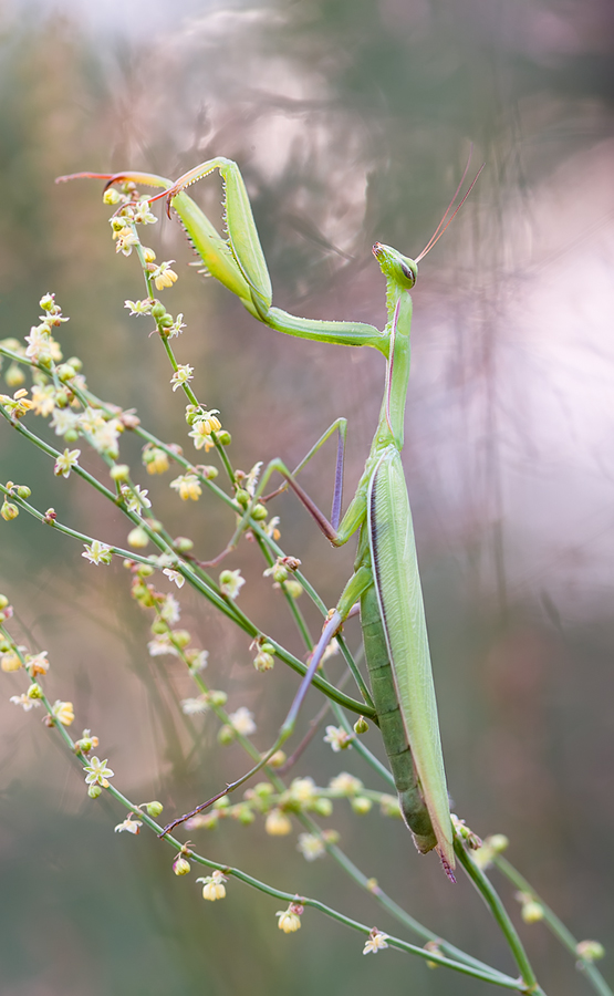 IMG_6013-Edit-2-1Edit