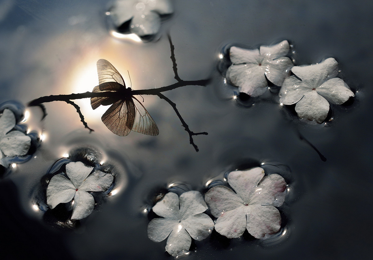 V_volshebnom_zerkale1