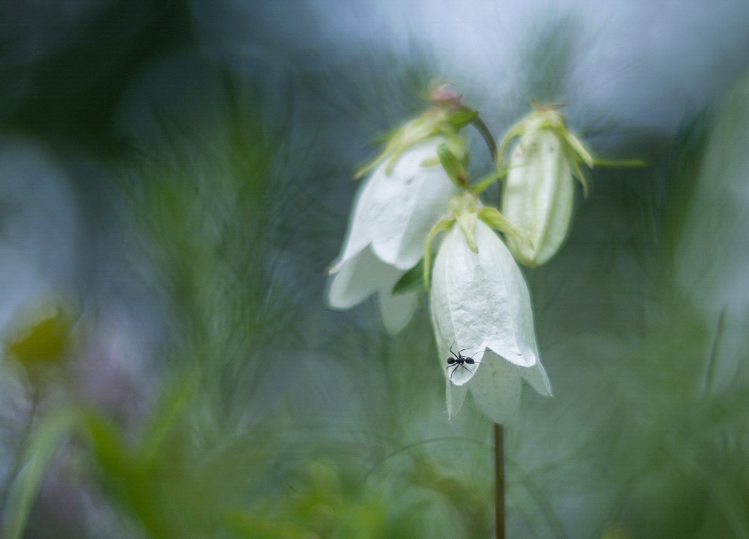 20140618-IMGP5986-2-2-3