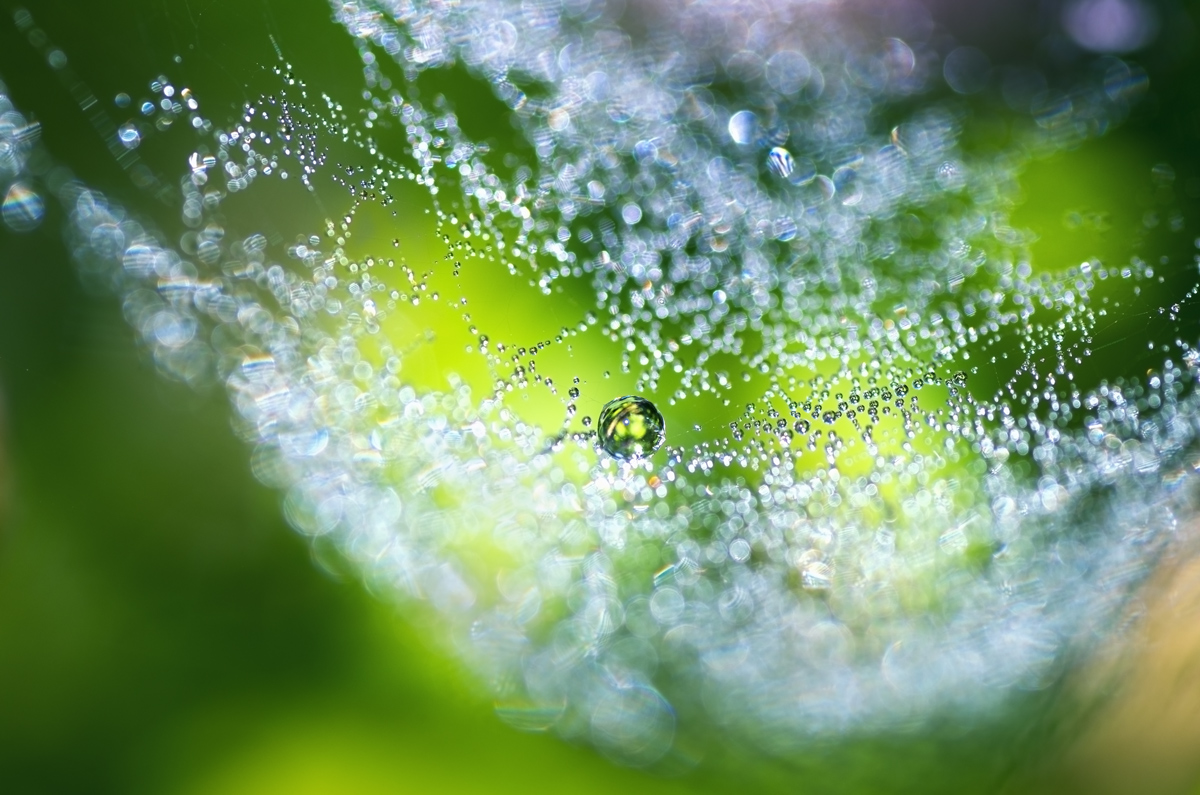 G-_FOTO_-_-_-_-16-2014-_-_-_-1_