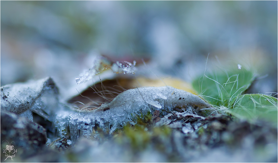 moroznyj_pejzazh-res