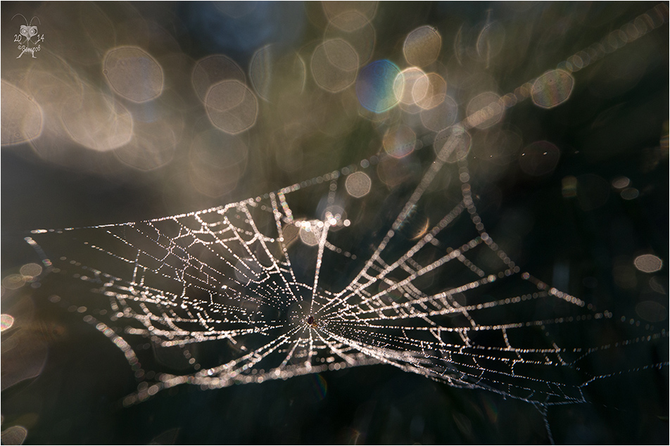 seti_blizhnego_kosmosa-res