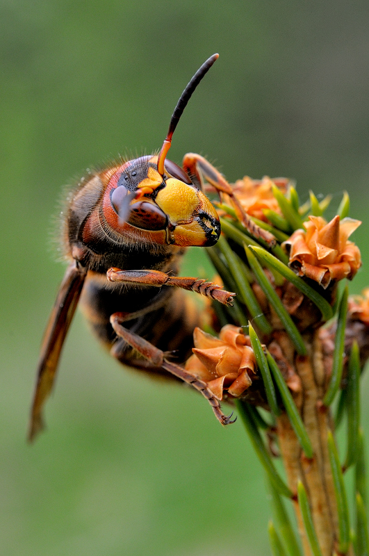 05_10_2014-185_DSC0675