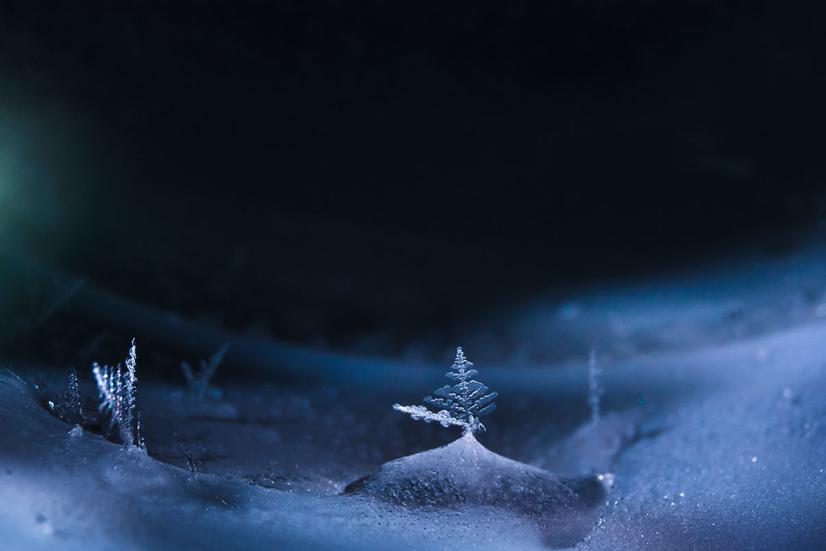 20131215_193000_DSC01063_13