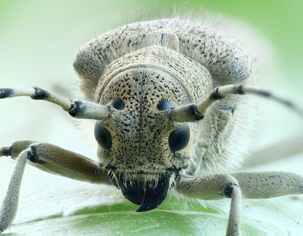 2013-07-14-19_57_17_ZS_PMax