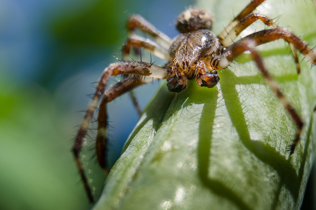 20130726_133651_DSC08699_74