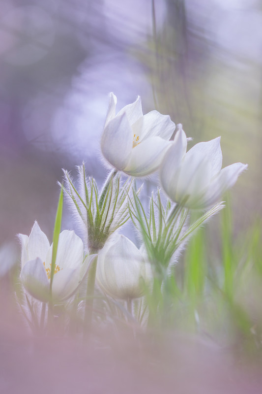 0_108101_70dd7d6b_XL