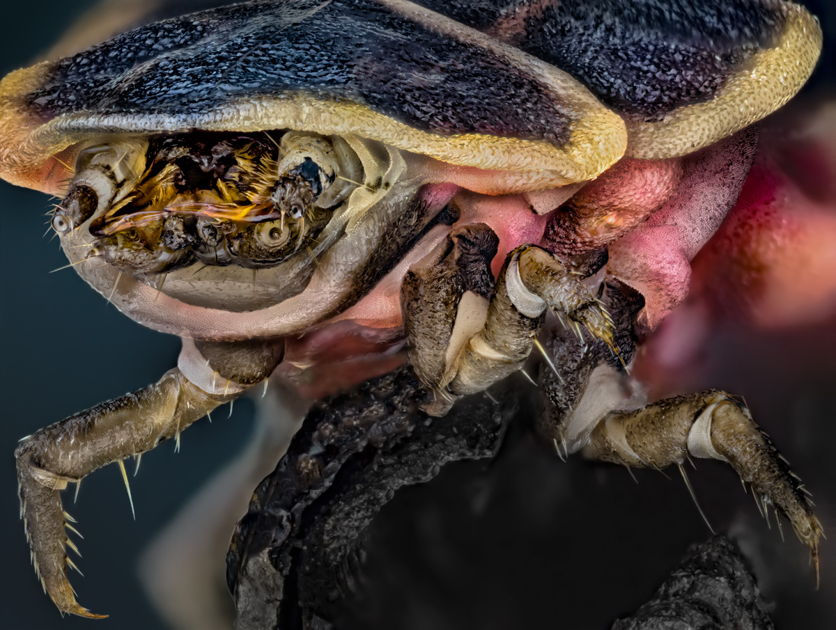 2016-02-20-23-res-ZS-PMax-EF