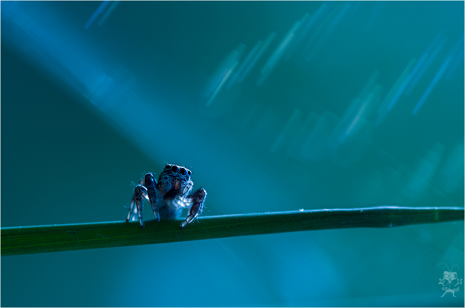 kogda_padayut_zvezdy-res1