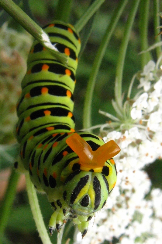 0_9be45_9af27251_orig