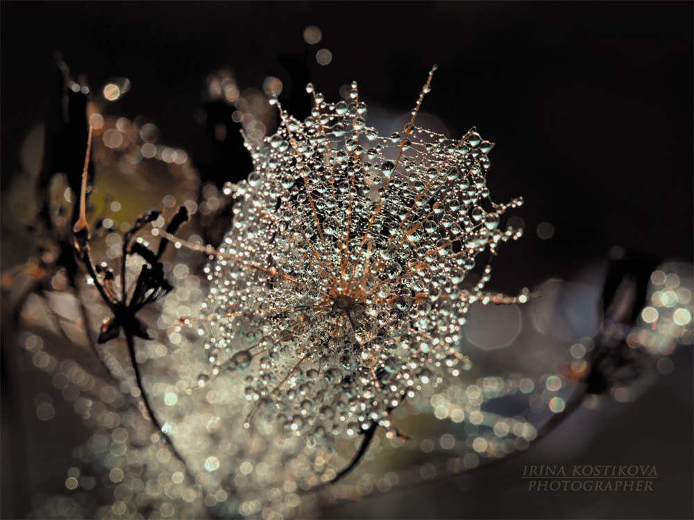 27_07_14_IMG_8238_1000_750_299_