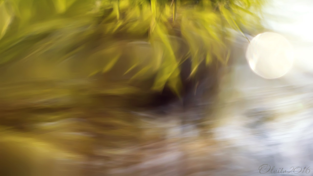 grass_reflected_in_the_water_of_the_river_blurred_colorful_background