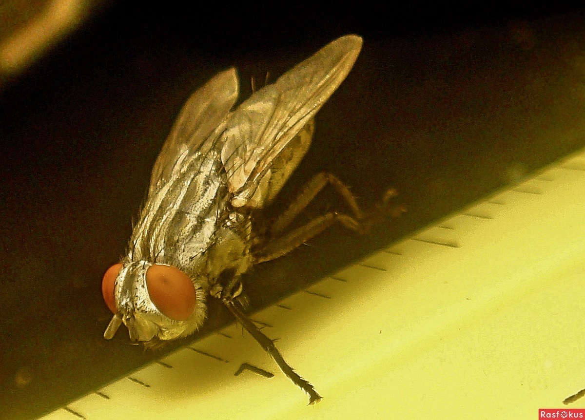 3fd82c0e16a924aea6b1285ed020bb32