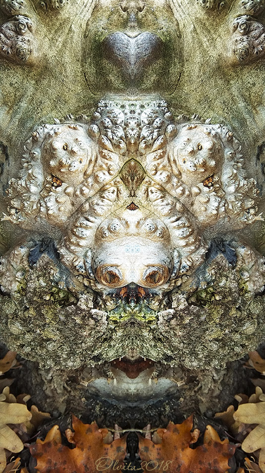 IMG_20181108_131947_1