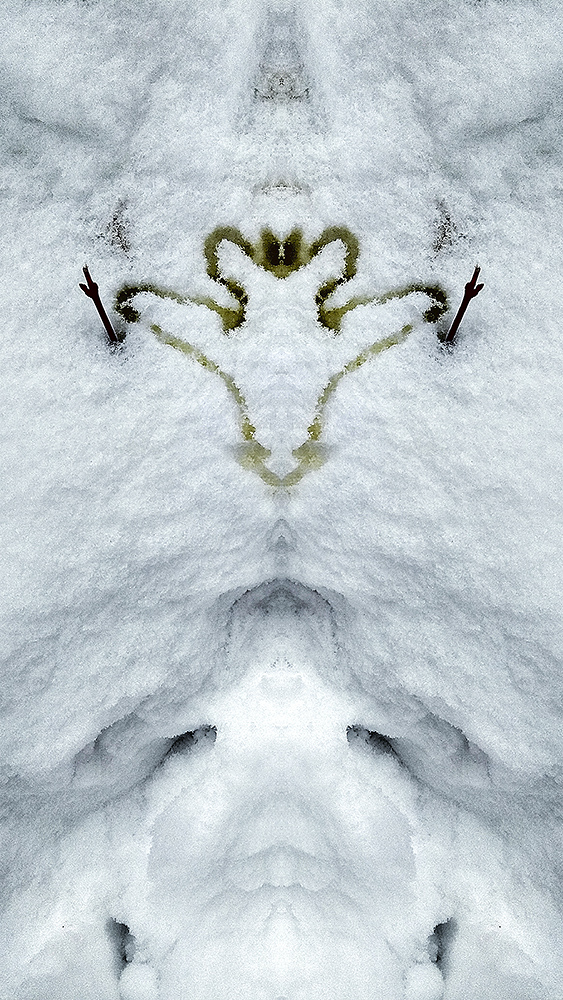 IMG_20181215_150737_HDR_w