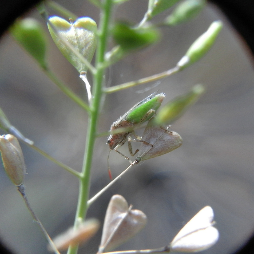 IMG_02022019_235239_1080_x_1080_