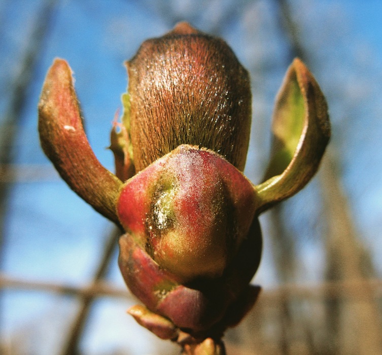 IMG_10042020_174644_753_x_700_