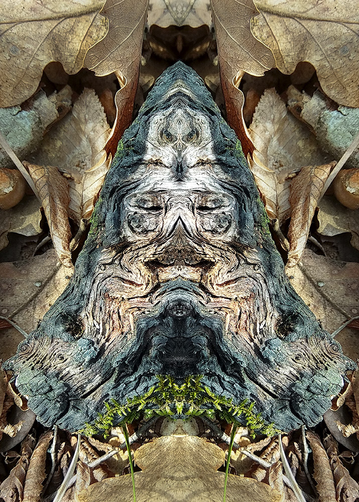 IMG_20200220_122835_HDR_1