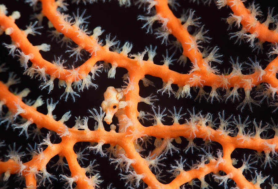 20130910_194359_DSC01945_04