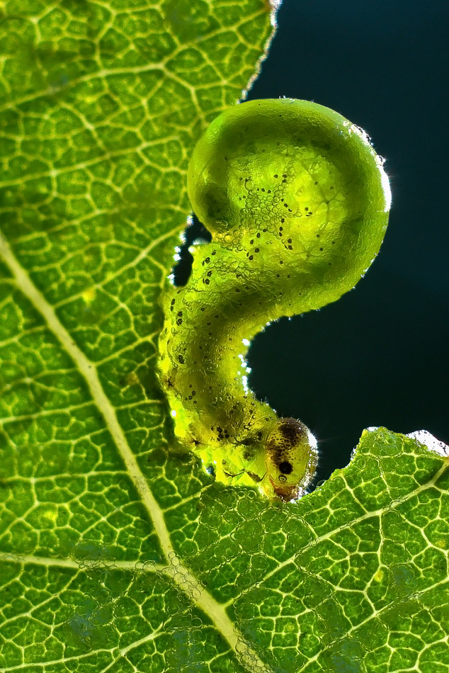 2017-09-02_10-55-47_M_B_R_25_S_6