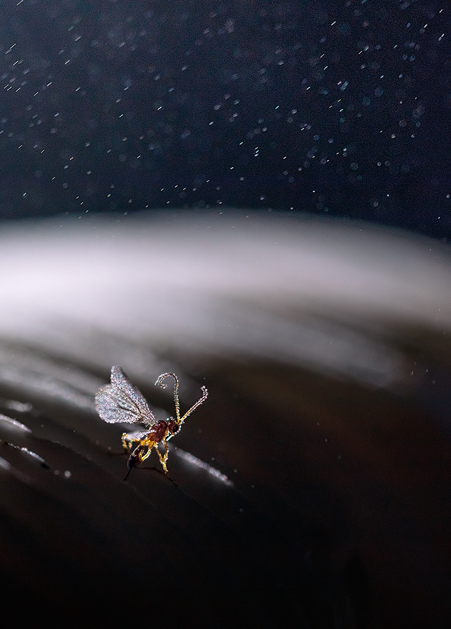 AI0A0924_4_07_08_2019_3_900