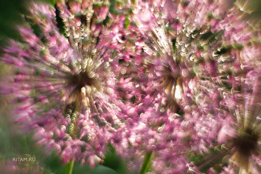 Cvetochnyi_sharokaleydoskop_-_Ritam_W