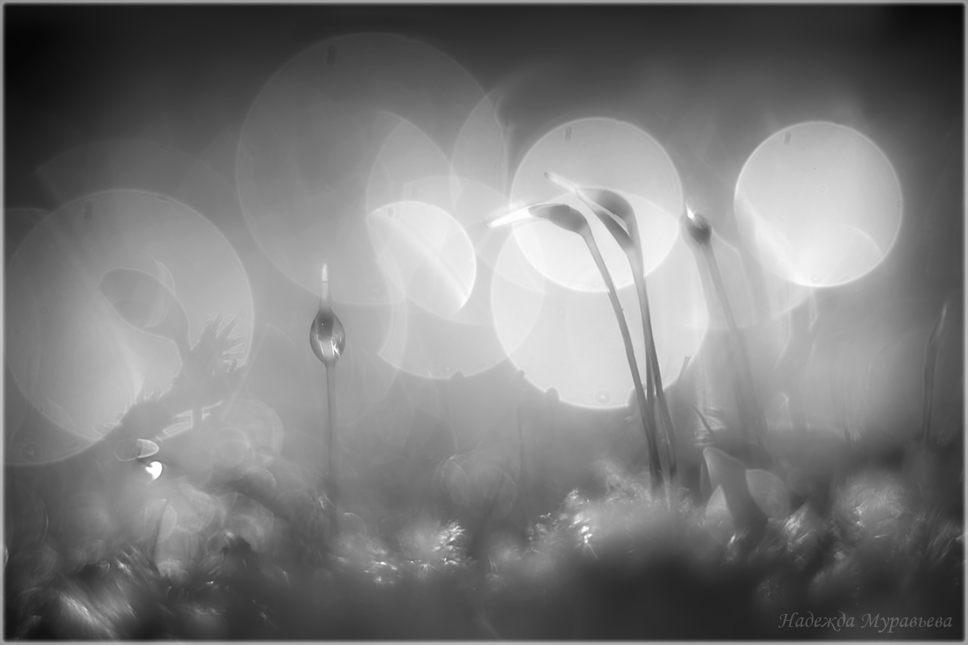 A0C4C8FD-77A4-40FA-9B16-186C2C2B66BD