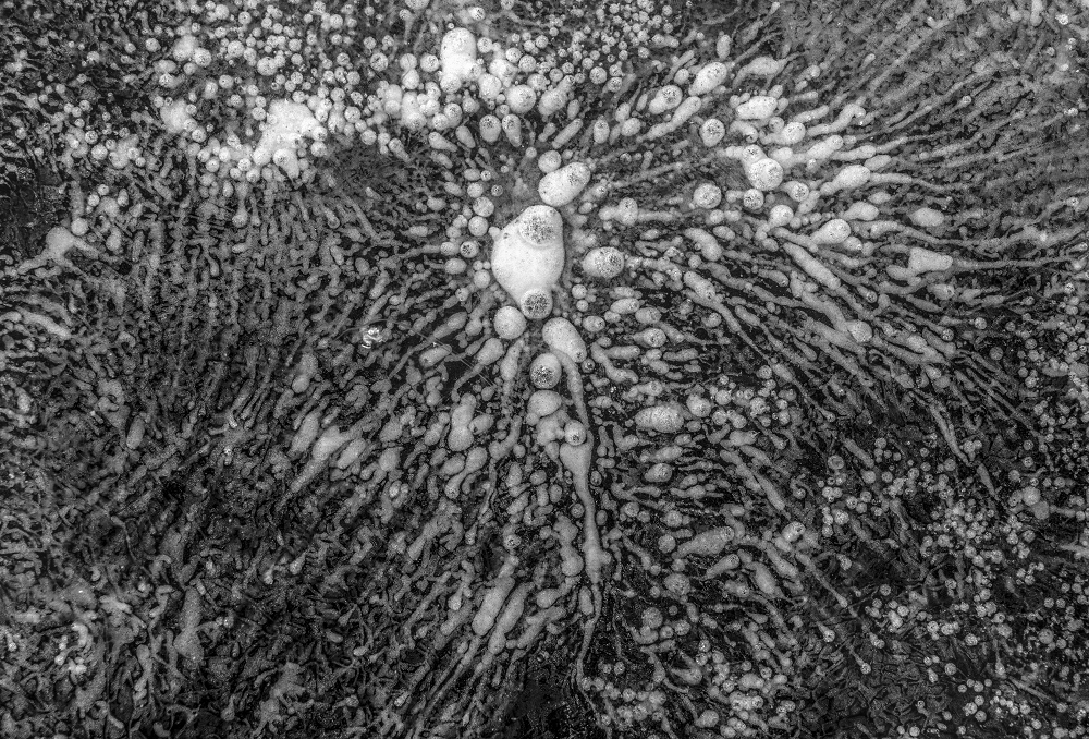 sized_-_Byt_pervym_DSC_09913_jpg_2