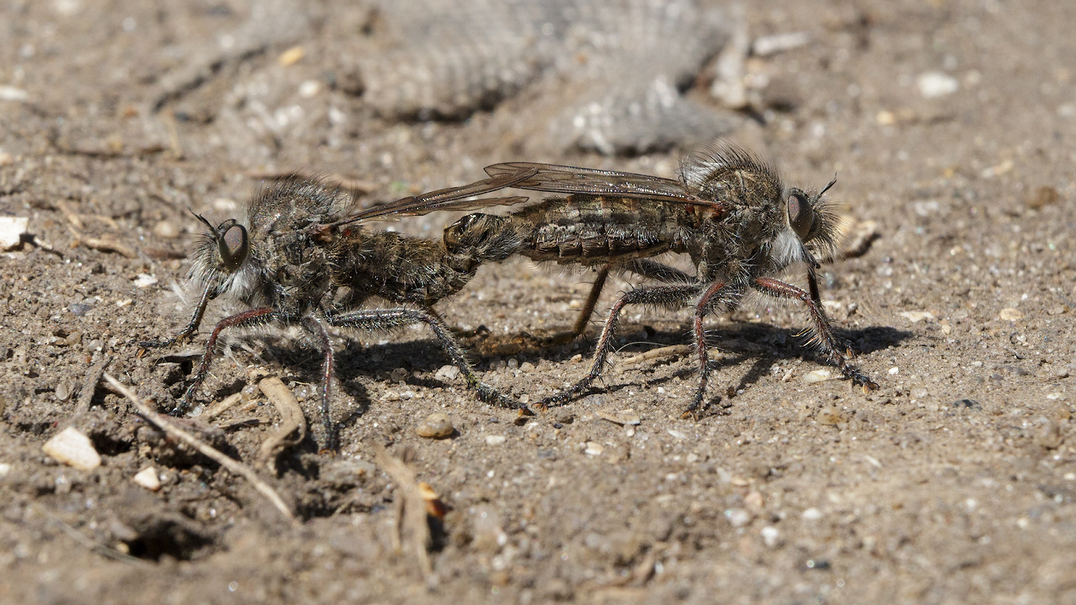 2021_05_04_12-35-55_00010