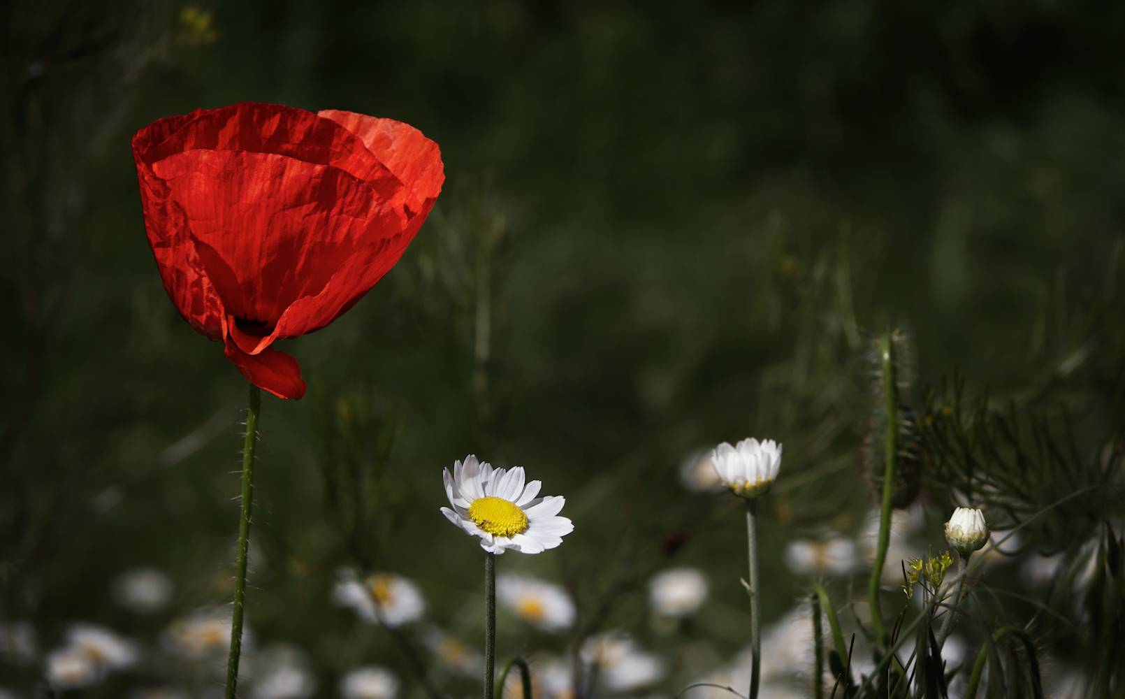 2021_05_23_11-30-01_00012